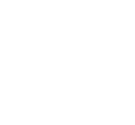 White line-art icon on a blue/teal square background showing a magnifying glass examining a vertical bar chart—symbolizing due diligence, investigation, and performance analysis.